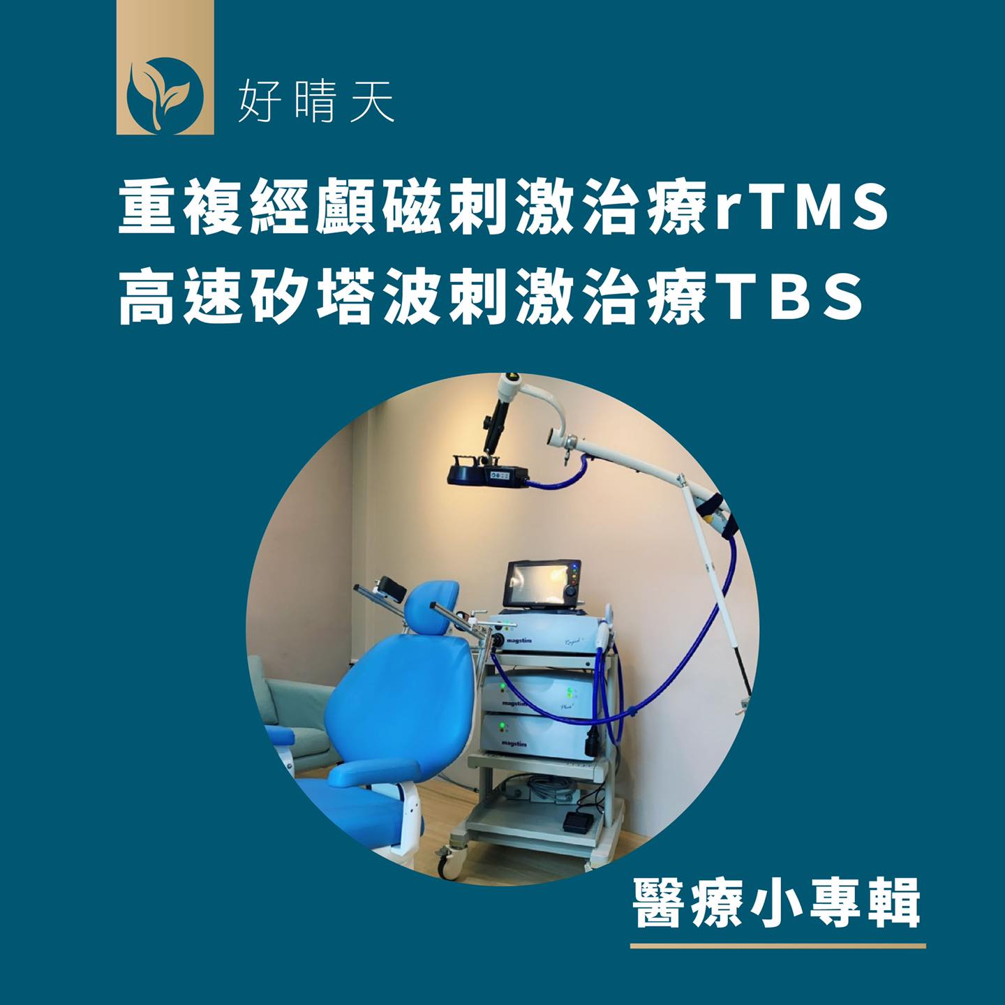 Read more about the article 【TMS 簡介小專輯】