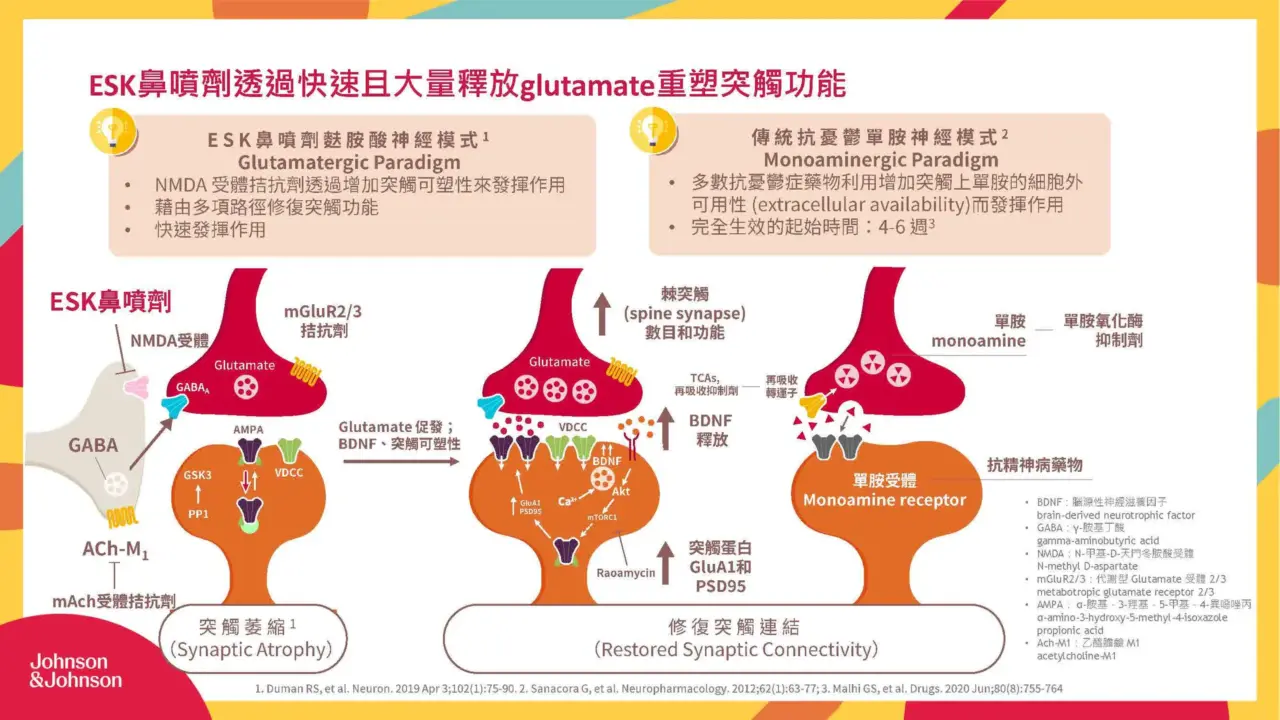 2025 Spravato產品及風險管理計畫說明_頁面_05