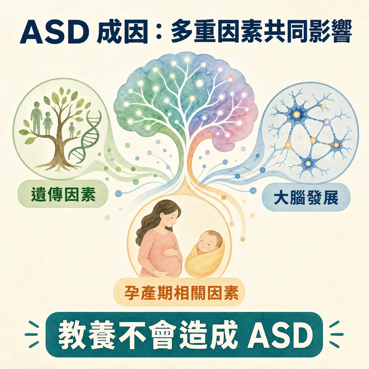 ASD 成因:遺傳因素、大腦發展、孕產期相關因素多重影響;教養不會造成 ASD