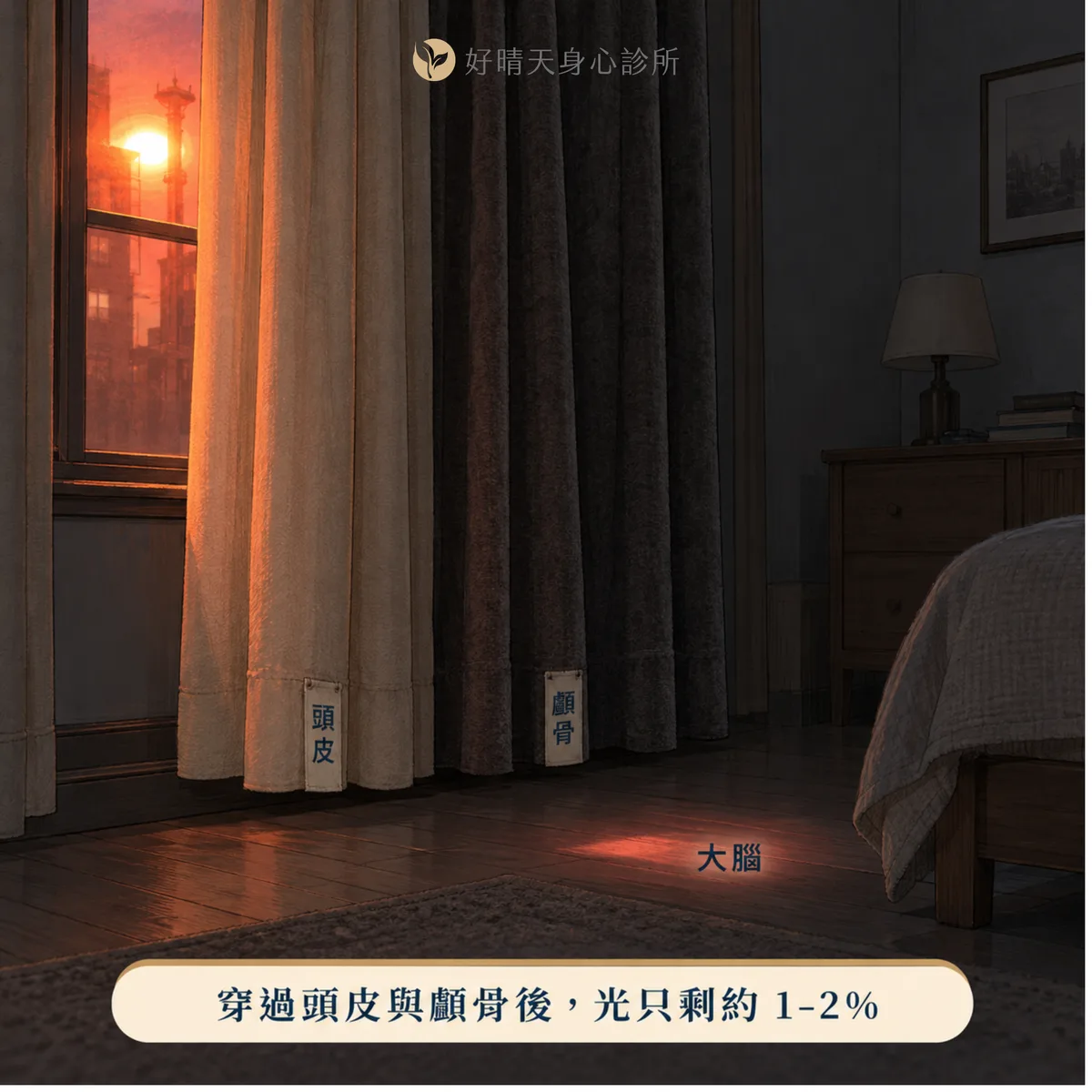 以兩層窗簾比喻頭皮與顱骨:近紅外光穿過後抵達大腦只剩約 1% 到 2%